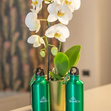 Castel Sant'angelo Luxury & Tour 4*